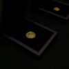Gold Coins by Aliel 1
